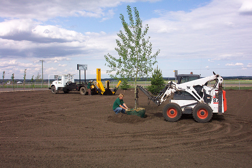 Organic Air Tree and Shrub Care - Planting New Trees