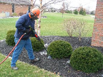 Organic Air Tree and Shrub Care - Using an Air Knife