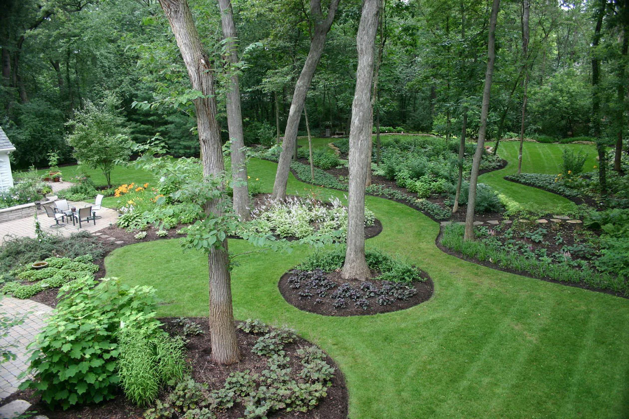 Organic Air Tree and Shrub Care - Landscaped Backyard