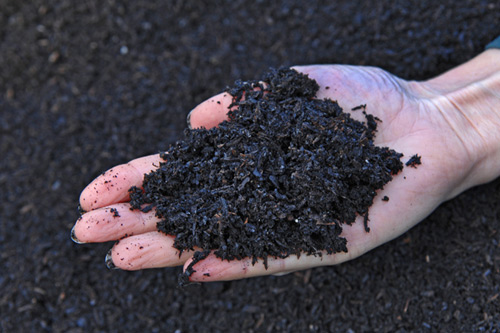 Biochar