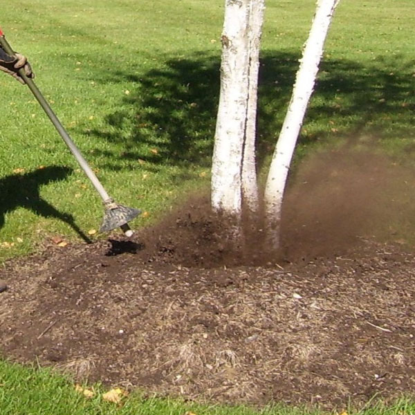 Organic Air Tree and Shrub Care - Using an Air Knife