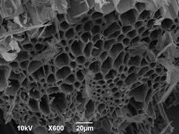 Biochar Magnified