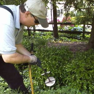 Fertilizing a tree