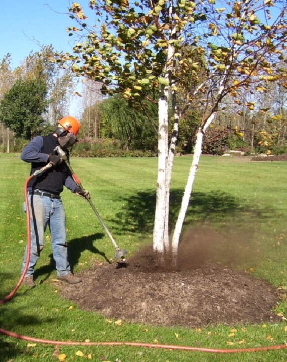 Organic Air Tree and Shrub Care - Root Help 