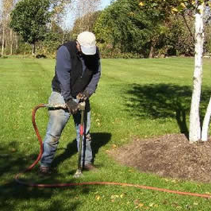 tree care small